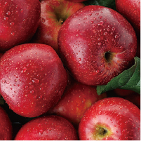 リンゴ果実培養細胞エキスのイメージ画像
